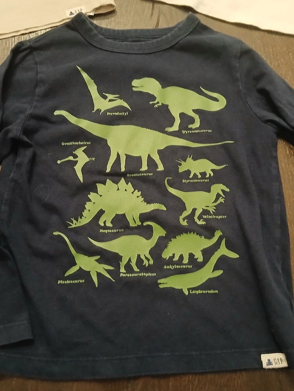 GAP any dino
